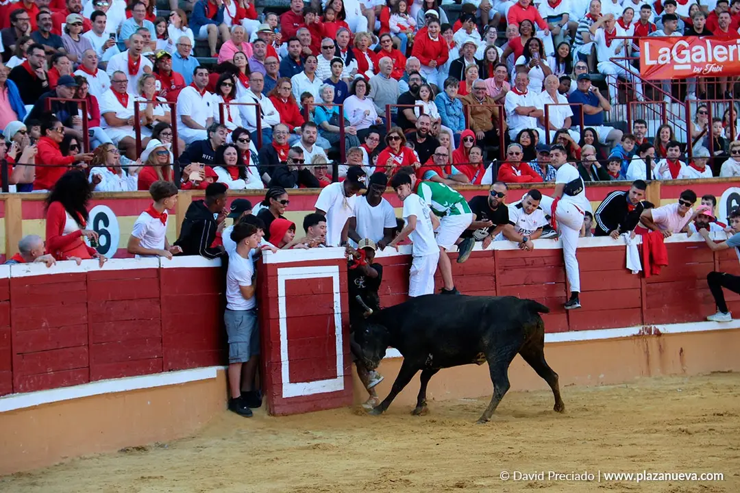 Fiestas de Tudela 2026 Suelta de vaquillas d&iacute;a 27 22