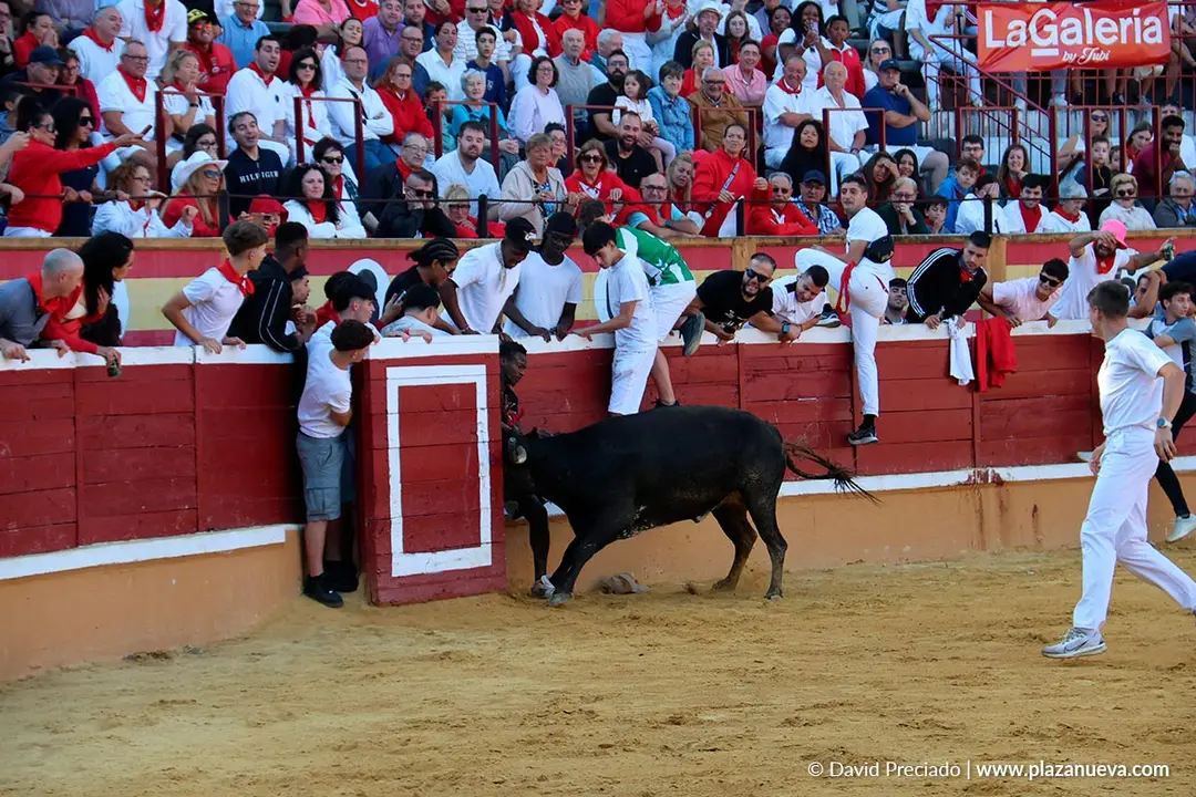 Fiestas de Tudela 2026 Suelta de vaquillas d&iacute;a 27 23