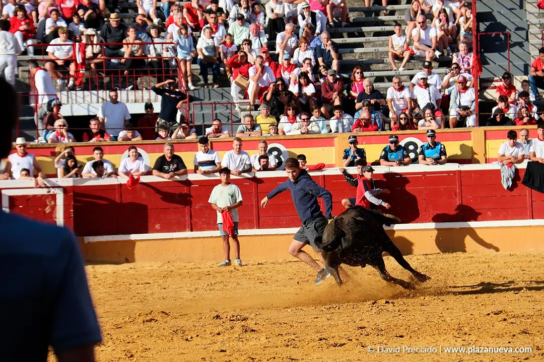 Fiestas de Tudela 2026 Suelta de vaquillas d&iacute;a 27 24