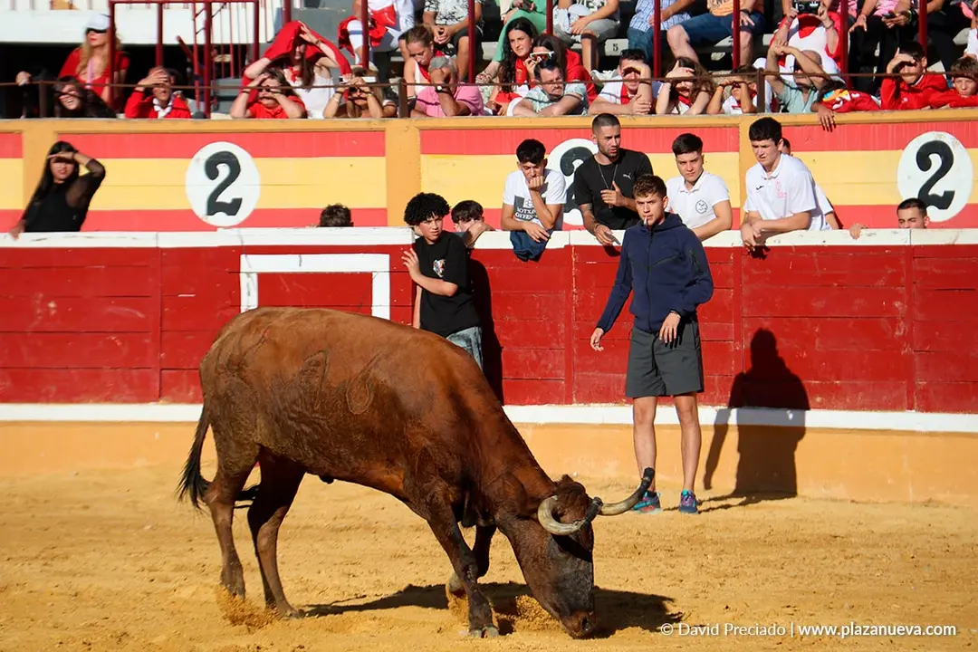 Fiestas de Tudela 2026 Suelta de vaquillas d&iacute;a 27 25