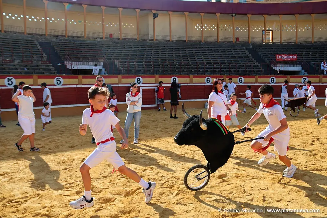 Fiestas de Tudela 2026 Toreo de sal&oacute;n 11