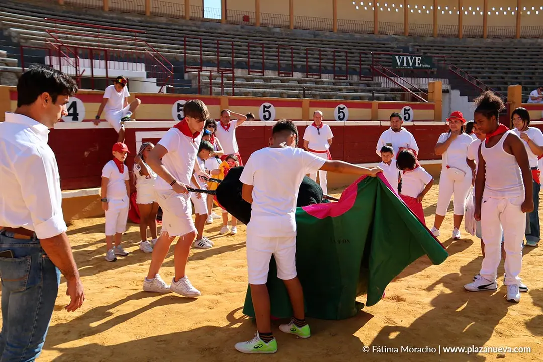 Fiestas de Tudela 2026 Toreo de sal&oacute;n 50