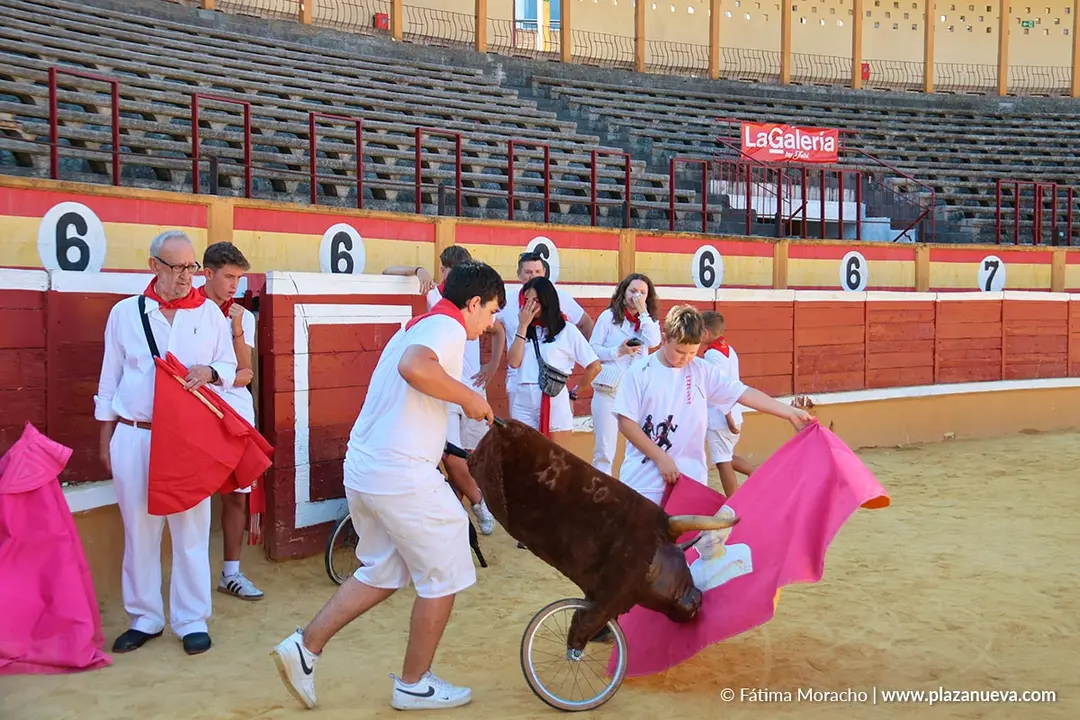 Fiestas de Tudela 2026 Toreo de sal&oacute;n 61