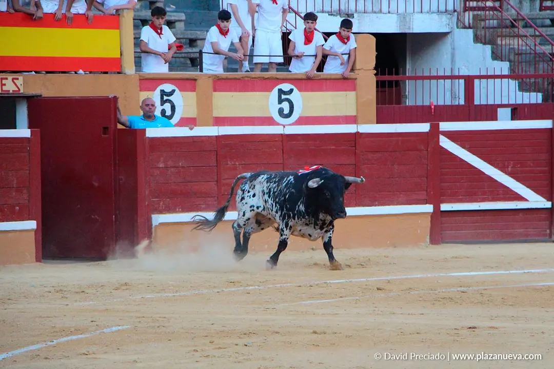 Fiestas de Tudela 2026 Corrida de toros 58