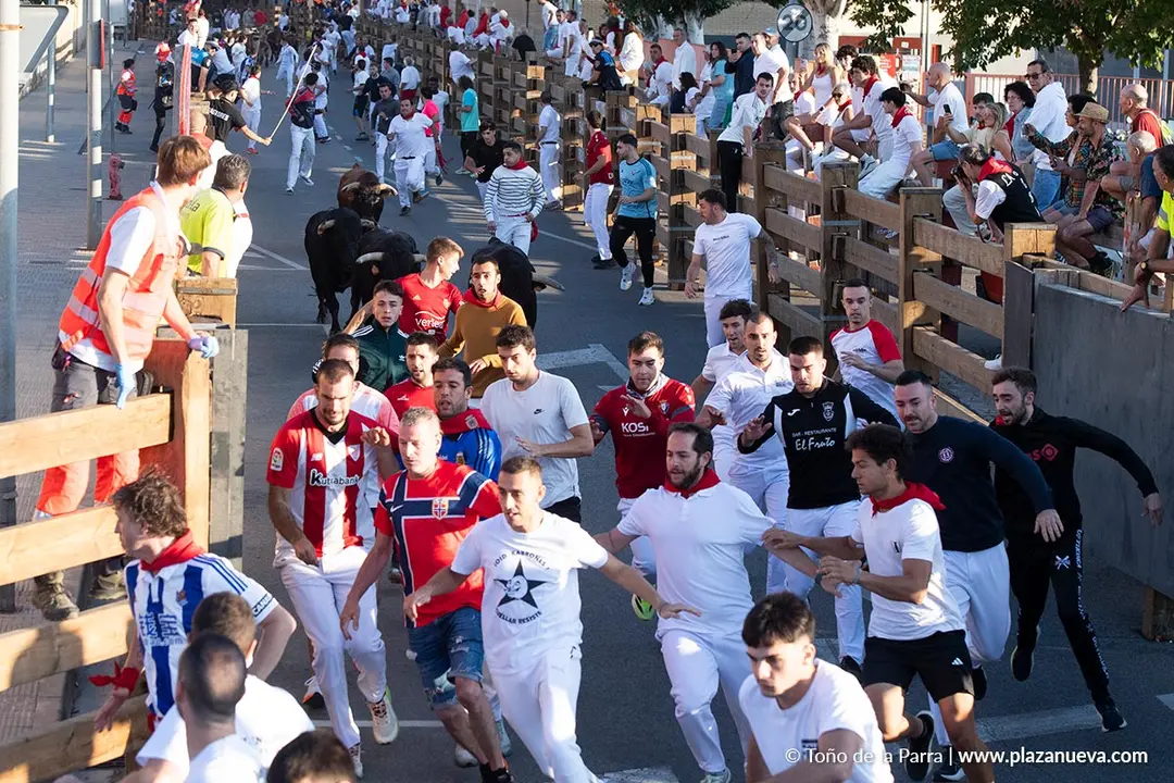Fiestas de Tudela 2026 Encierro d&iacute;a 28 9