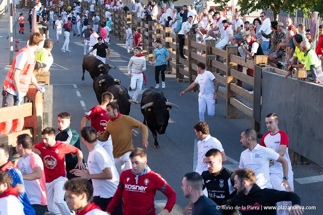 Fiestas de Tudela 2026 Encierro d&iacute;a 28 10