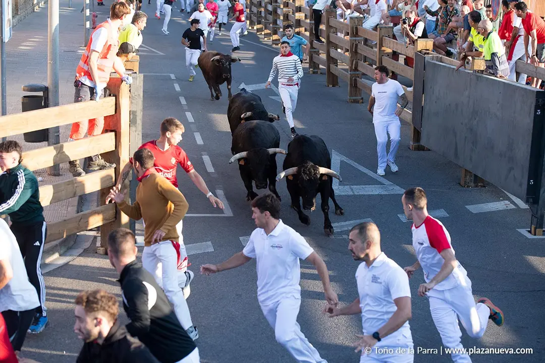 Fiestas de Tudela 2026 Encierro d&iacute;a 28 11