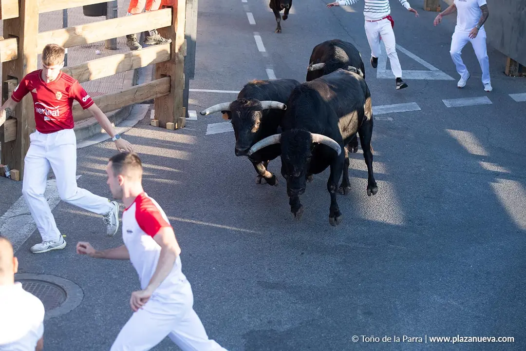 Fiestas de Tudela 2026 Encierro d&iacute;a 28 12