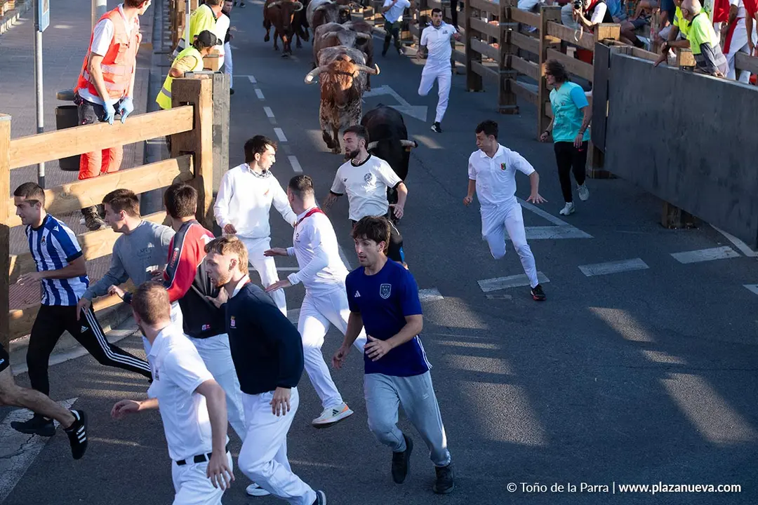 Fiestas de Tudela 2026 Encierro d&iacute;a 28 19