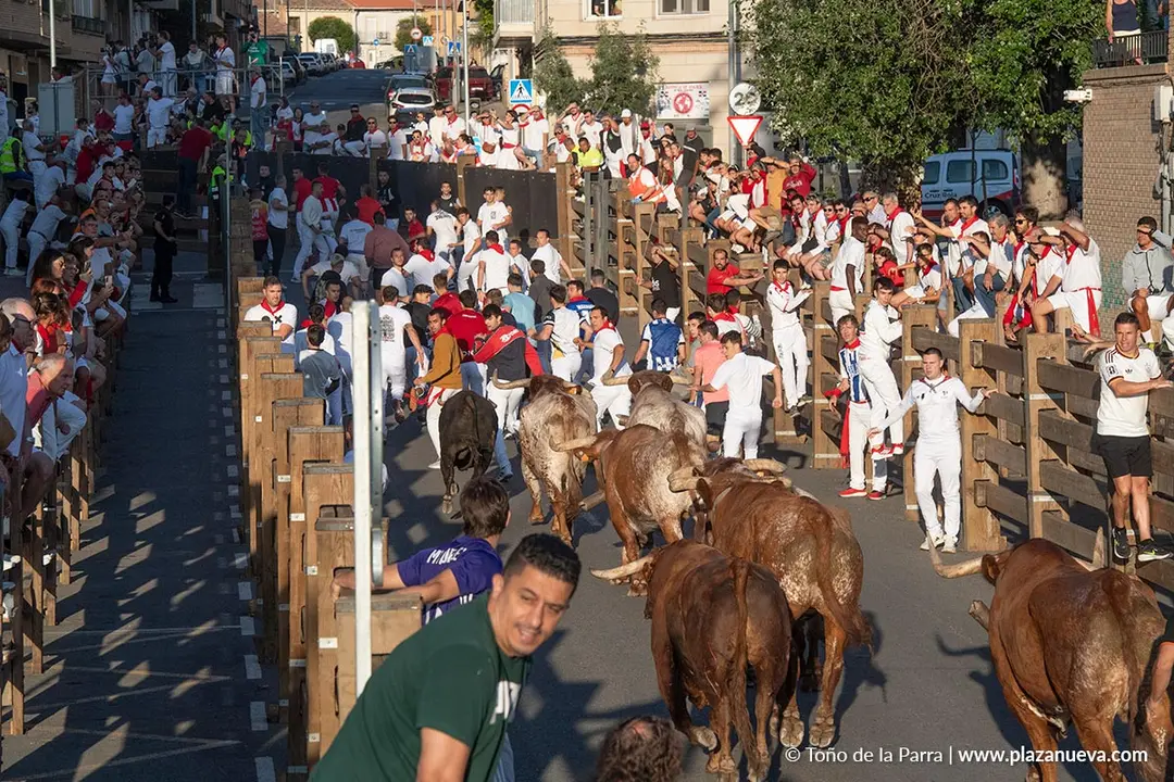 Fiestas de Tudela 2026 Encierro d&iacute;a 28 25