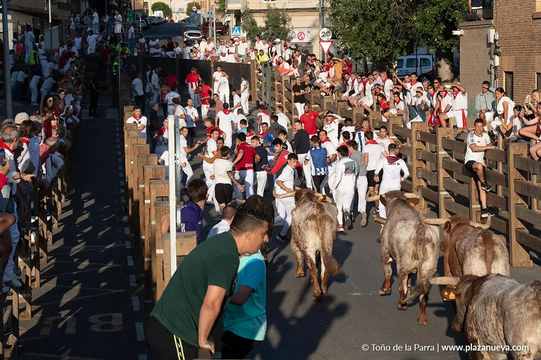 Fiestas de Tudela 2026 Encierro d&iacute;a 28 24