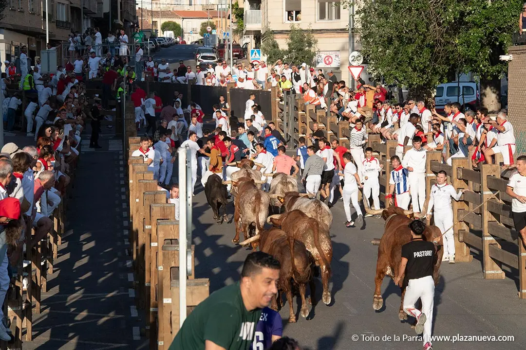 Fiestas de Tudela 2026 Encierro d&iacute;a 28 26