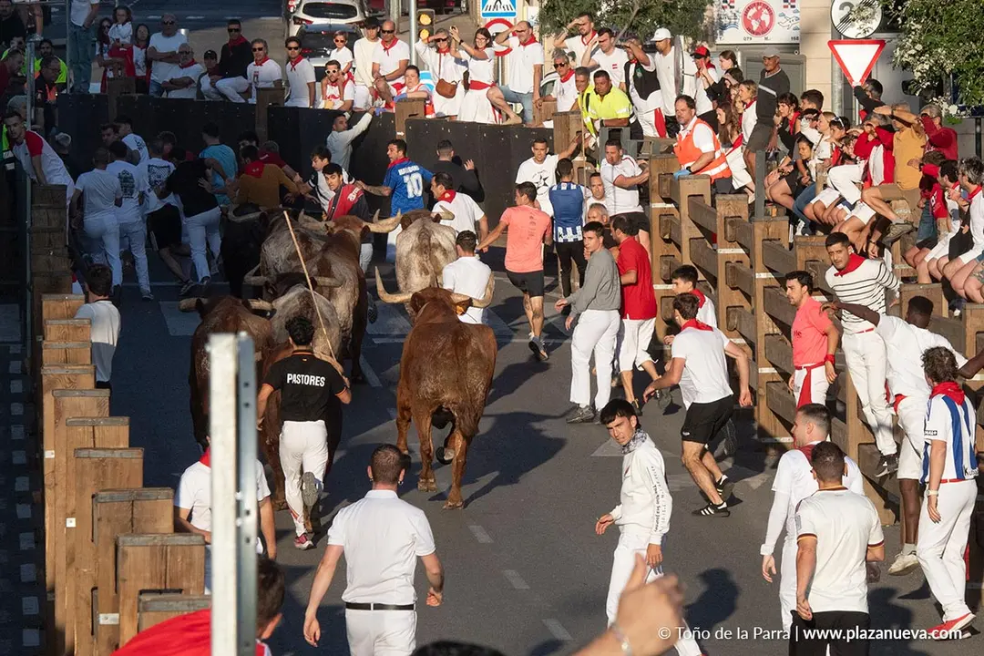 Fiestas de Tudela 2026 Encierro d&iacute;a 28 27