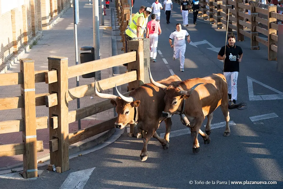 Fiestas de Tudela 2026 Encierro d&iacute;a 28 29