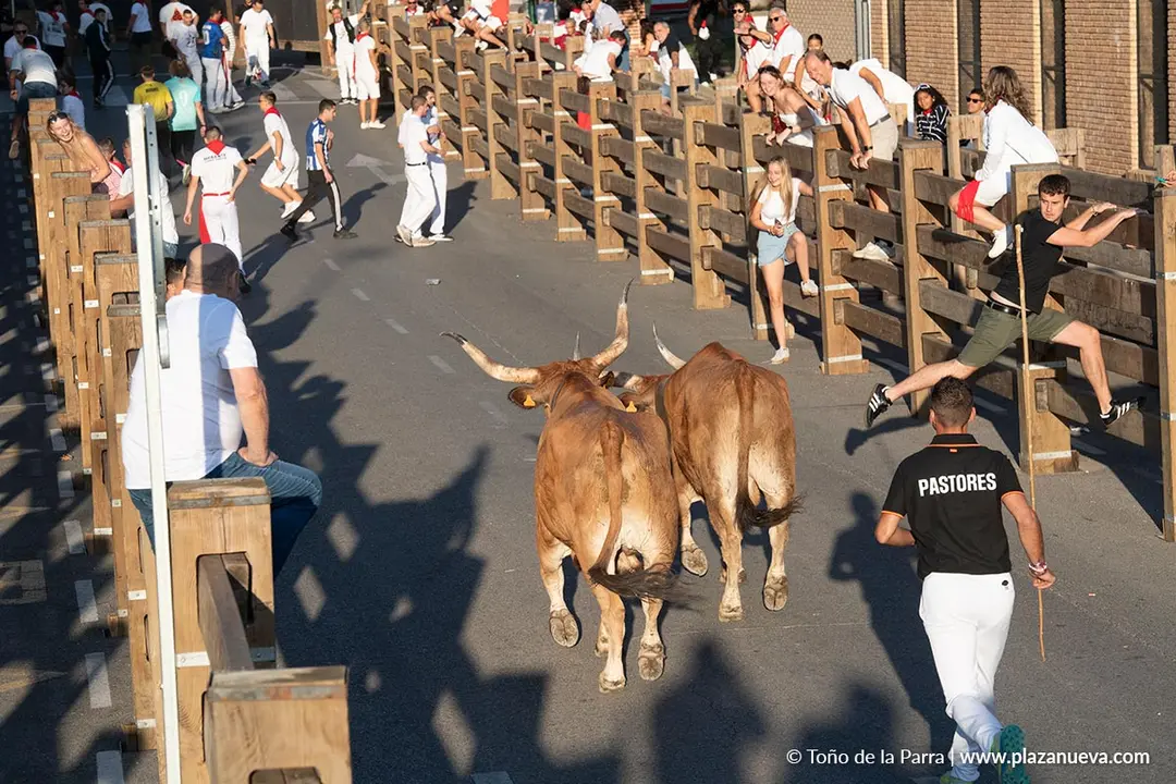 Fiestas de Tudela 2026 Encierro d&iacute;a 28 30