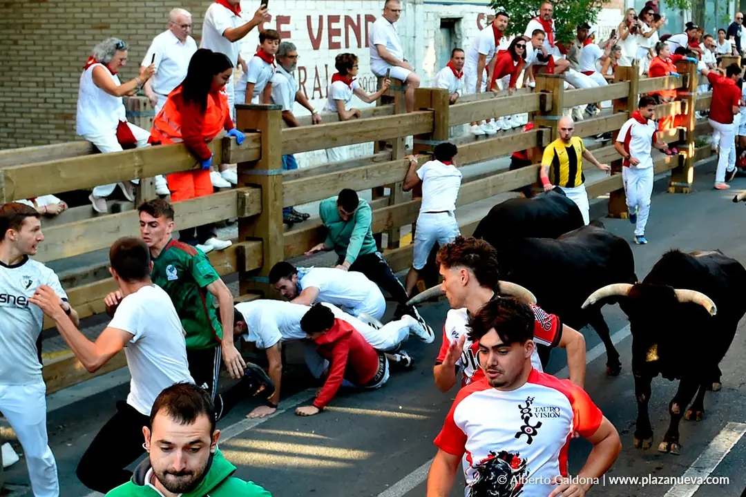 Fiestas de Tudela 2026 Encierro d&iacute;a 28 33