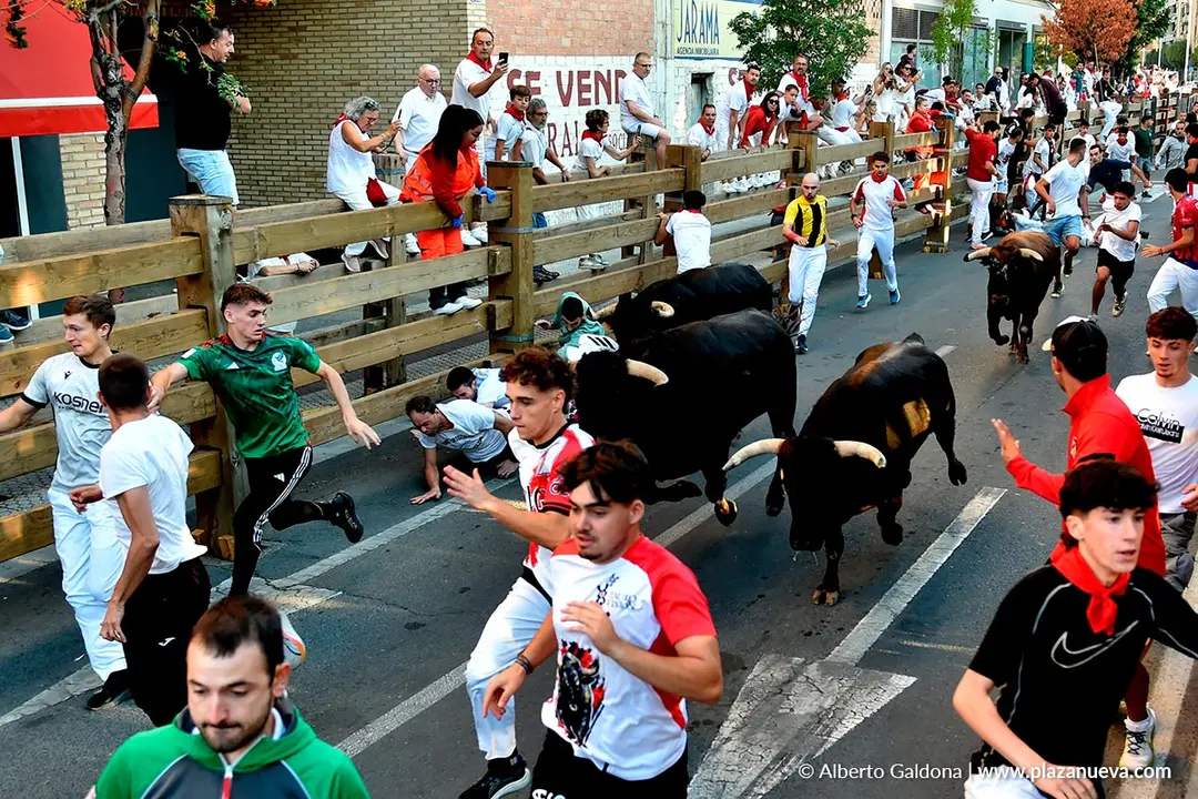 Fiestas de Tudela 2026 Encierro d&iacute;a 28 35