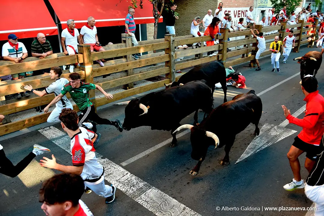Fiestas de Tudela 2026 Encierro d&iacute;a 28 36