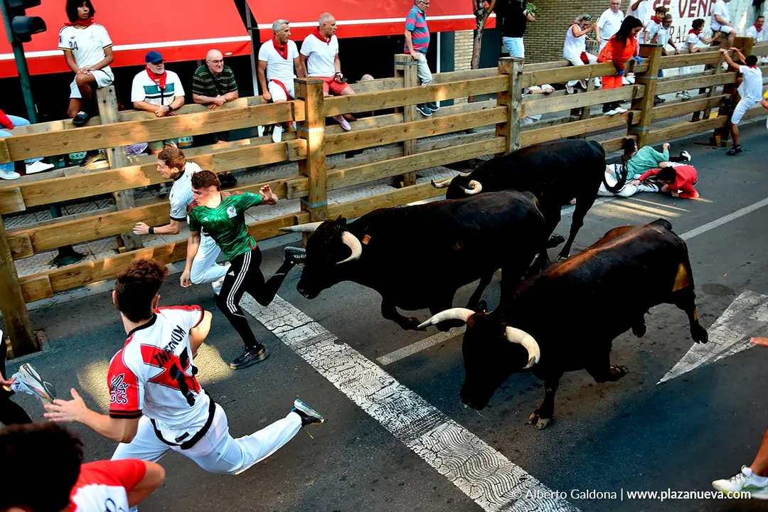 Fiestas de Tudela 2026 Encierro d&iacute;a 28 37