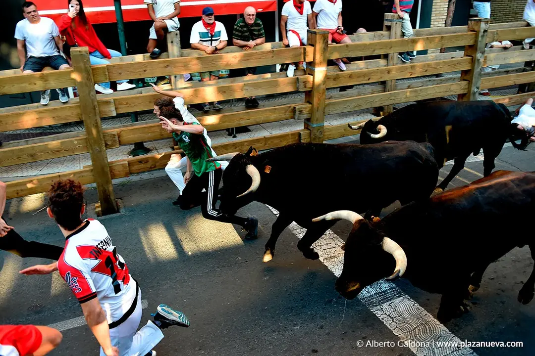 Fiestas de Tudela 2026 Encierro d&iacute;a 28 38
