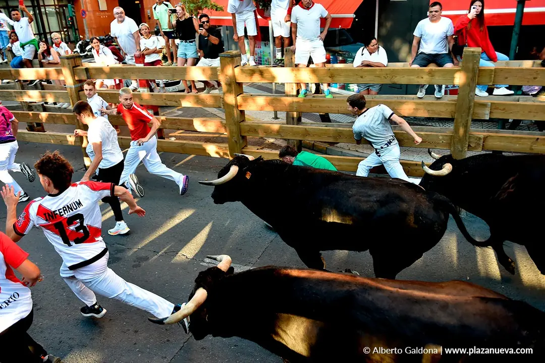 Fiestas de Tudela 2026 Encierro d&iacute;a 28 39