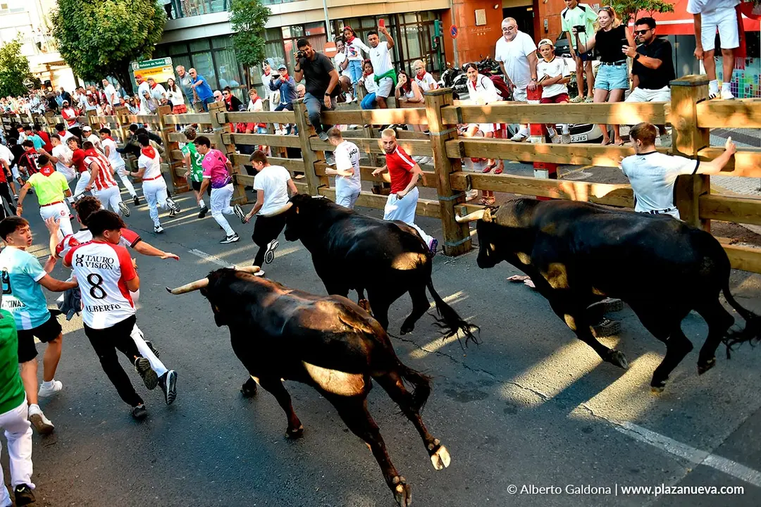 Fiestas de Tudela 2026 Encierro d&iacute;a 28 41
