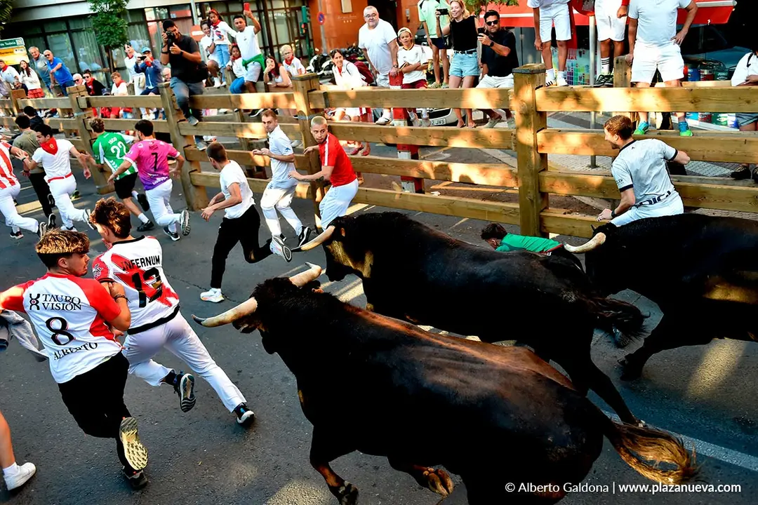 Fiestas de Tudela 2026 Encierro d&iacute;a 28 40