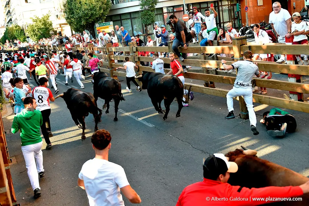 Fiestas de Tudela 2026 Encierro d&iacute;a 28 42