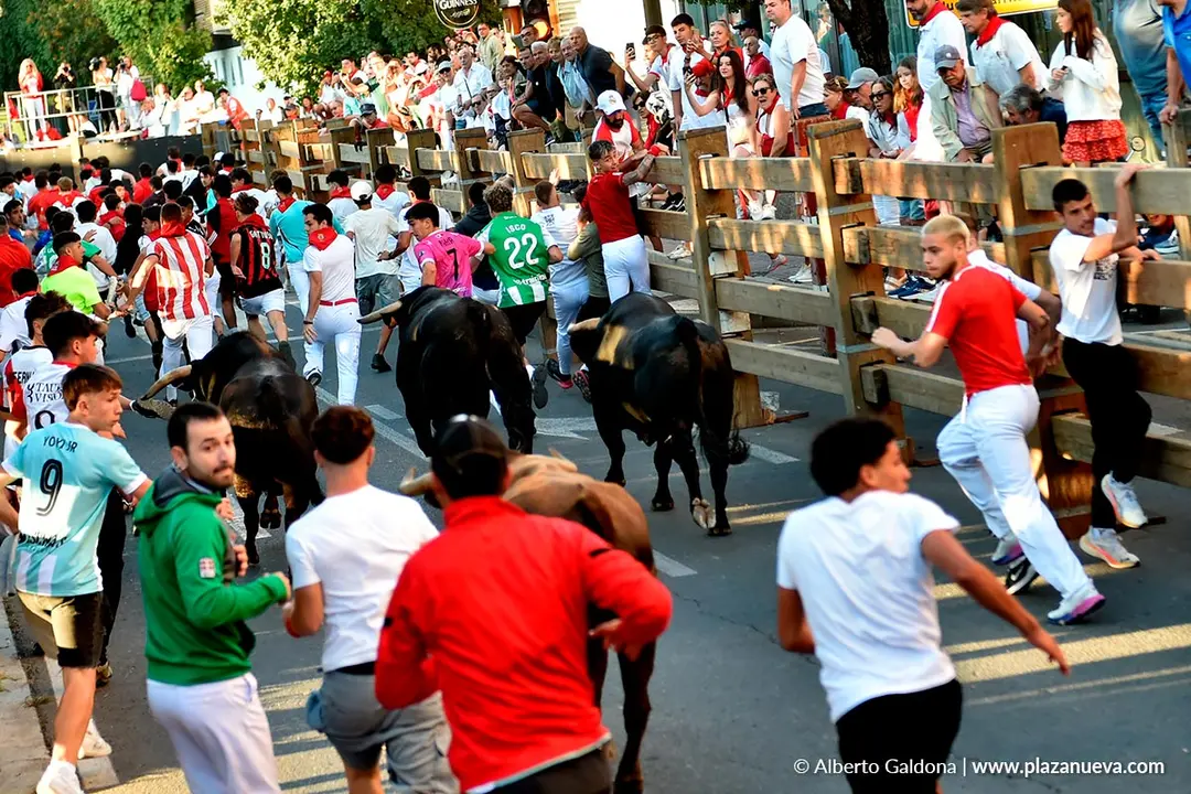 Fiestas de Tudela 2026 Encierro d&iacute;a 28 43