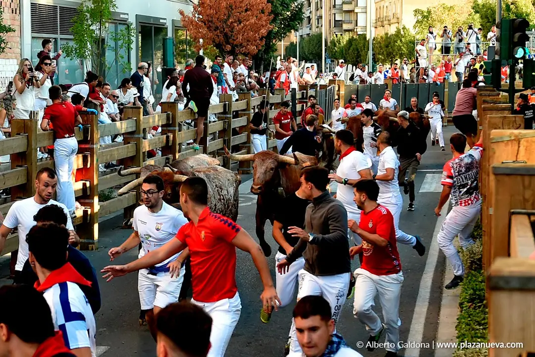 Fiestas de Tudela 2026 Encierro d&iacute;a 28 44