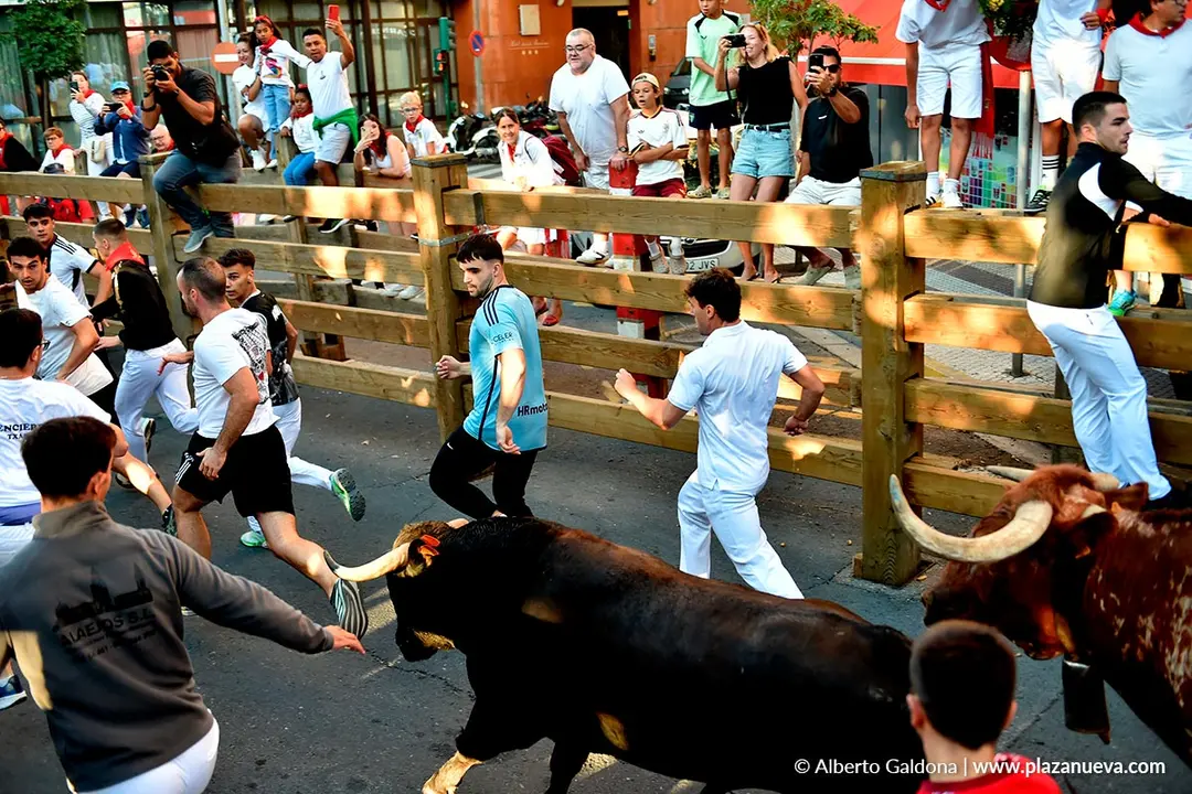 Fiestas de Tudela 2026 Encierro d&iacute;a 28 46