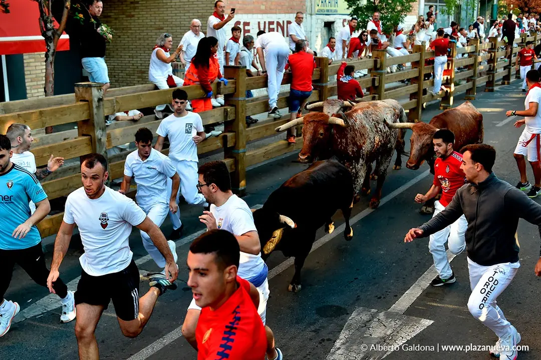 Fiestas de Tudela 2026 Encierro d&iacute;a 28 45
