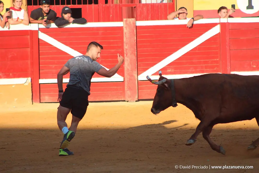 Fiestas de Tudela 2026 Suelta de vaquillas d&iacute;a 28 1