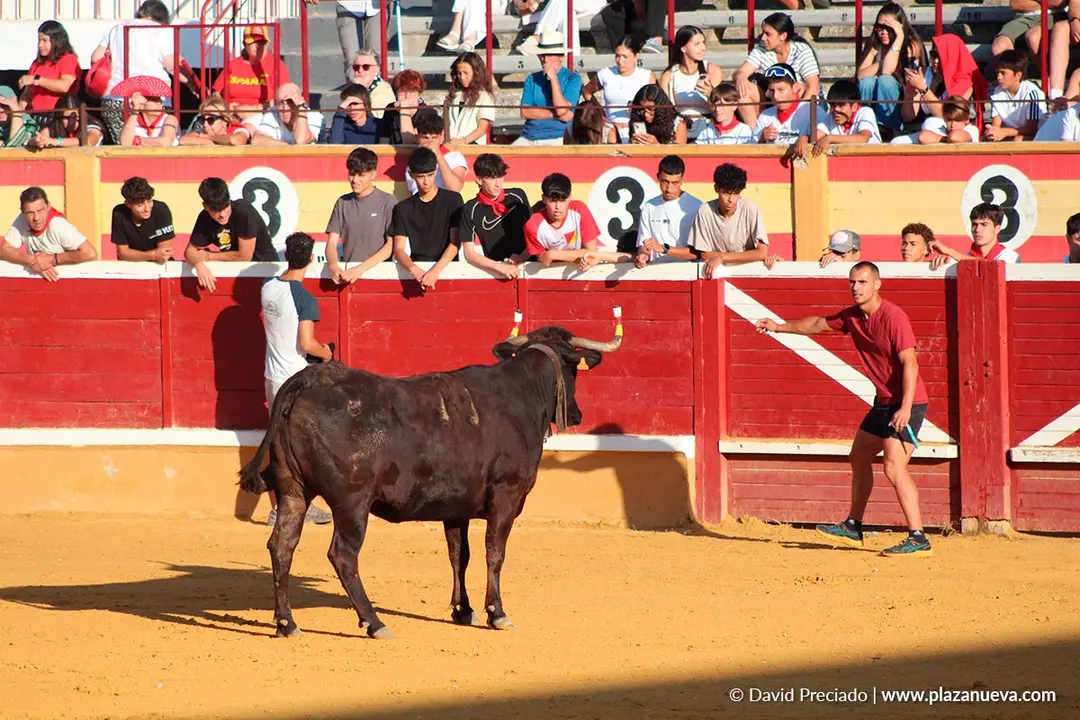 Fiestas de Tudela 2026 Suelta de vaquillas d&iacute;a 28 3