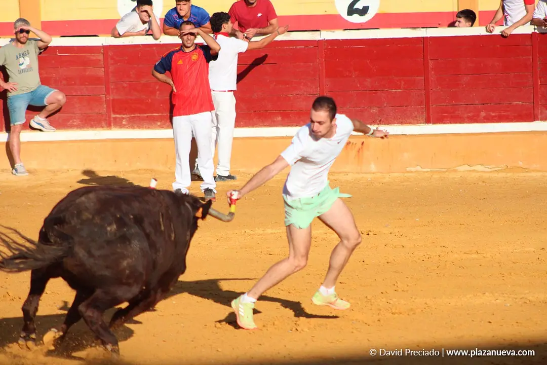 Fiestas de Tudela 2026 Suelta de vaquillas d&iacute;a 28 4