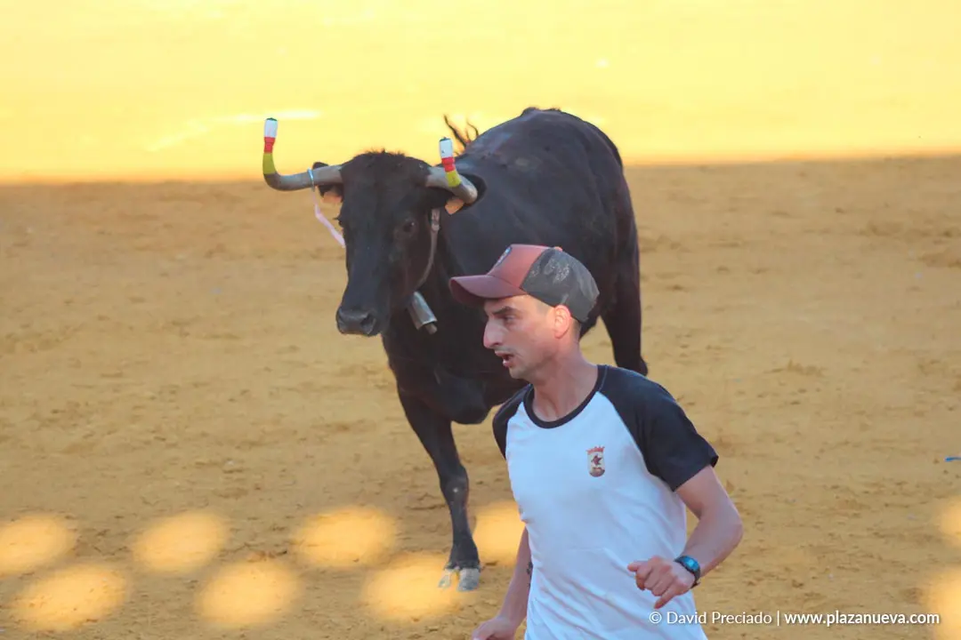 Fiestas de Tudela 2026 Suelta de vaquillas d&iacute;a 28 5