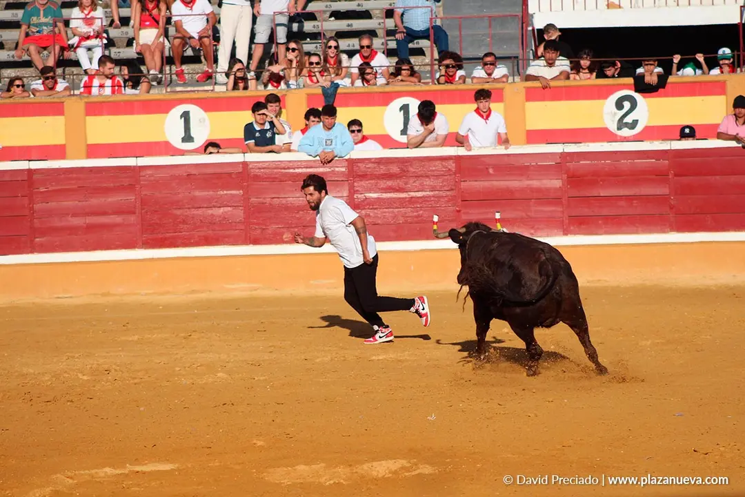 Fiestas de Tudela 2026 Suelta de vaquillas d&iacute;a 28 8