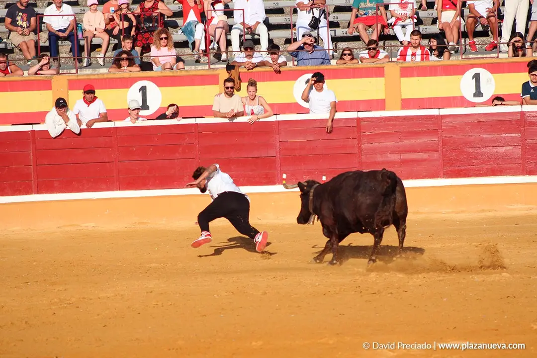 Fiestas de Tudela 2026 Suelta de vaquillas d&iacute;a 28 9