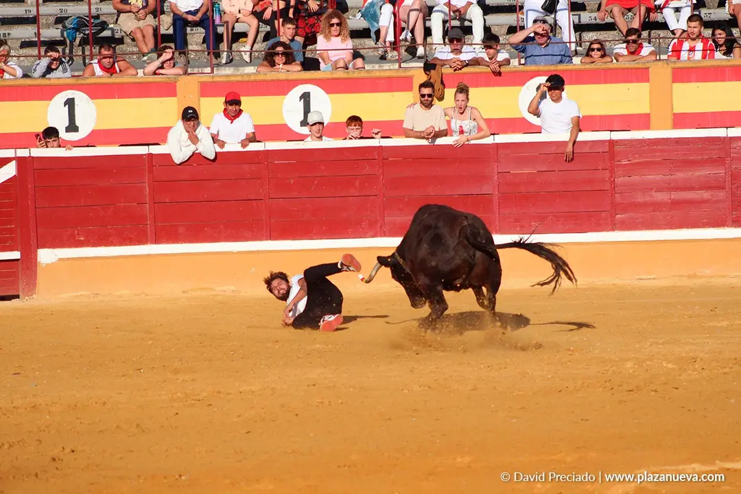 Fiestas de Tudela 2026 Suelta de vaquillas d&iacute;a 28 10