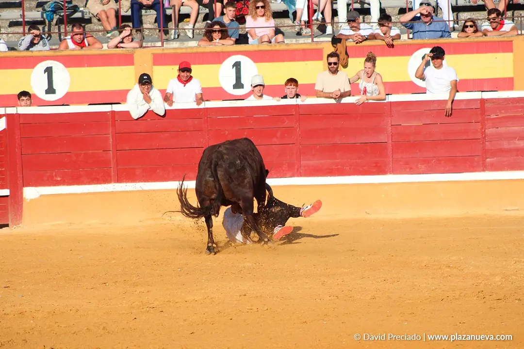 Fiestas de Tudela 2026 Suelta de vaquillas d&iacute;a 28 11