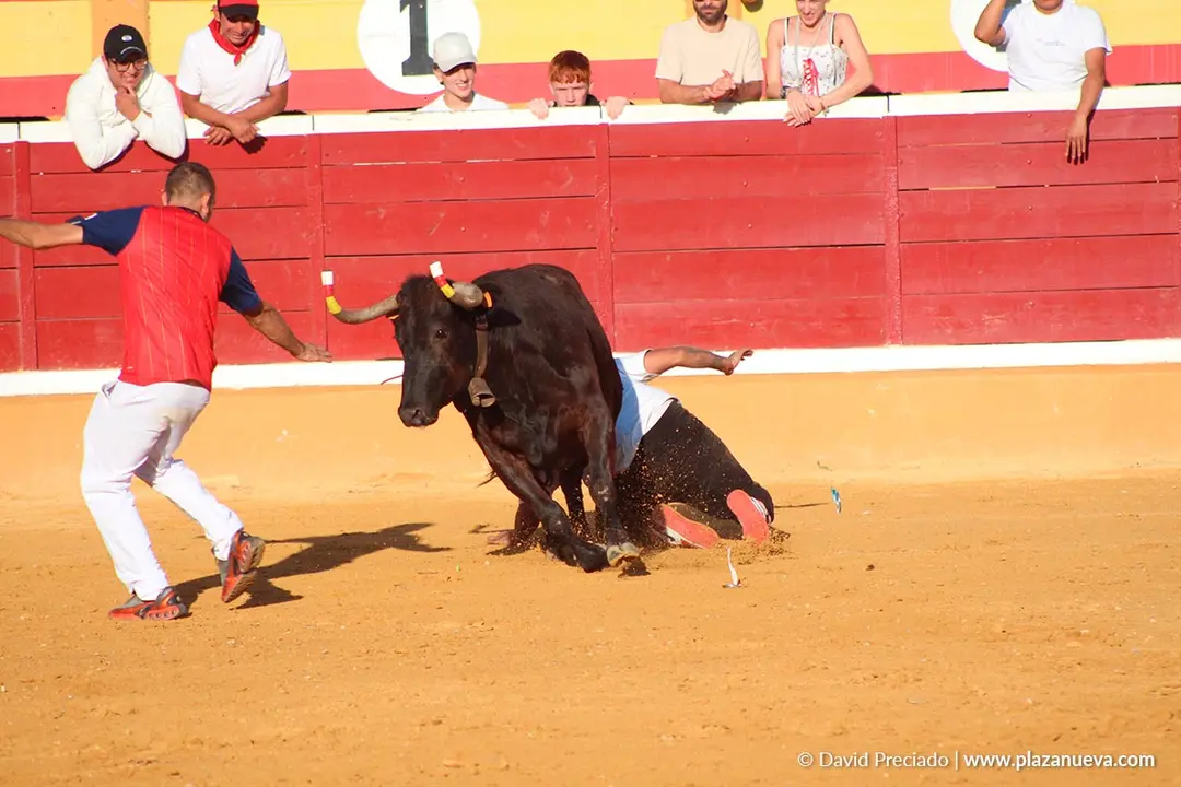 Fiestas de Tudela 2026 Suelta de vaquillas d&iacute;a 28 13