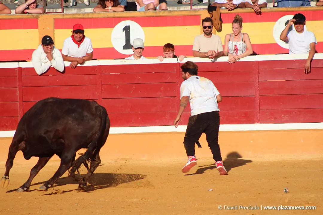 Fiestas de Tudela 2026 Suelta de vaquillas d&iacute;a 28 14