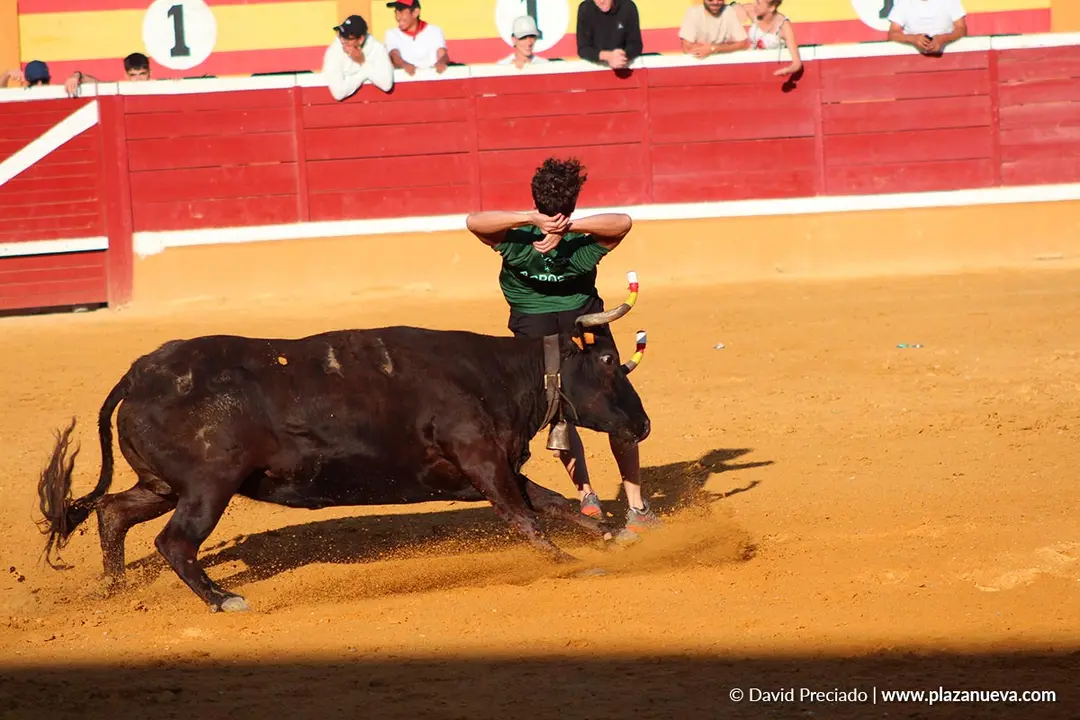 Fiestas de Tudela 2026 Suelta de vaquillas d&iacute;a 28 15