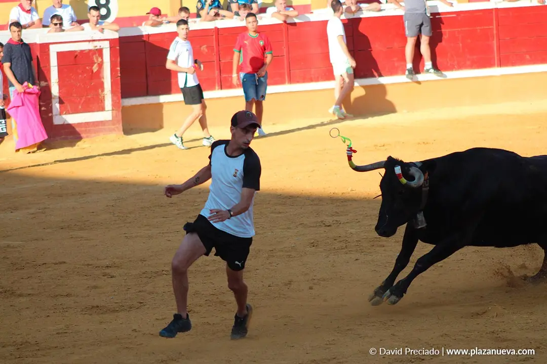 Fiestas de Tudela 2026 Suelta de vaquillas d&iacute;a 28 18