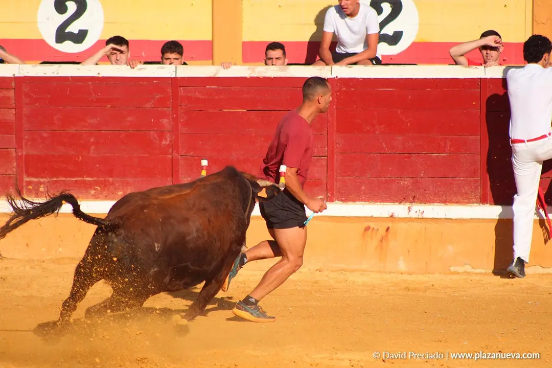 Fiestas de Tudela 2026 Suelta de vaquillas d&iacute;a 28 19