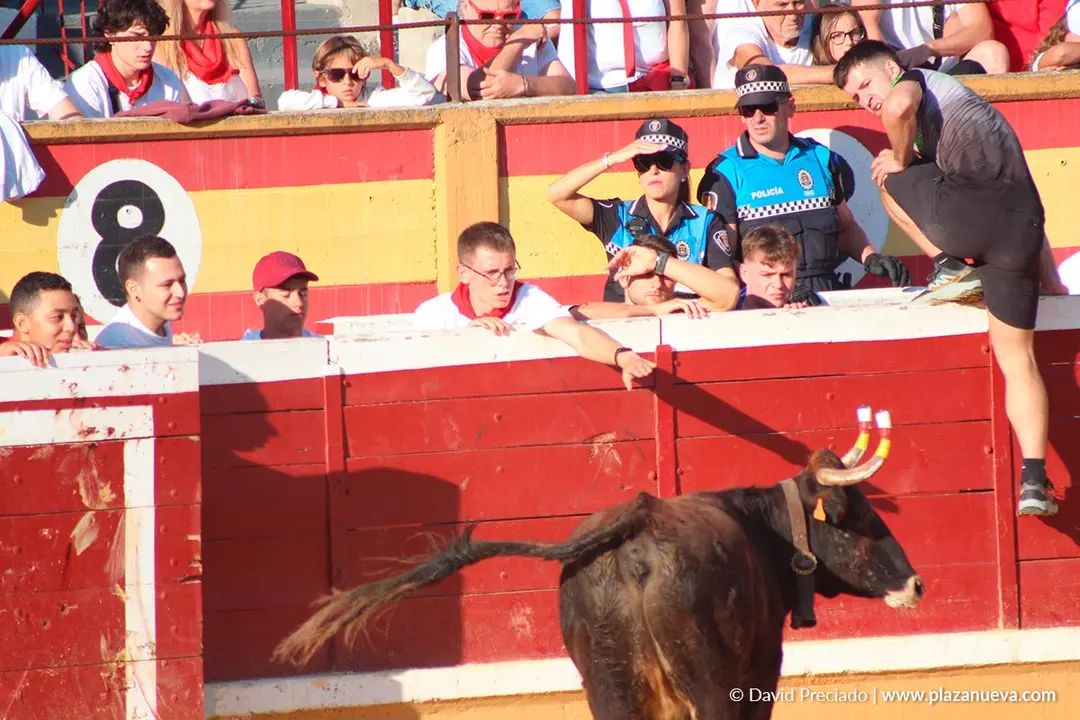Fiestas de Tudela 2026 Suelta de vaquillas d&iacute;a 28 21