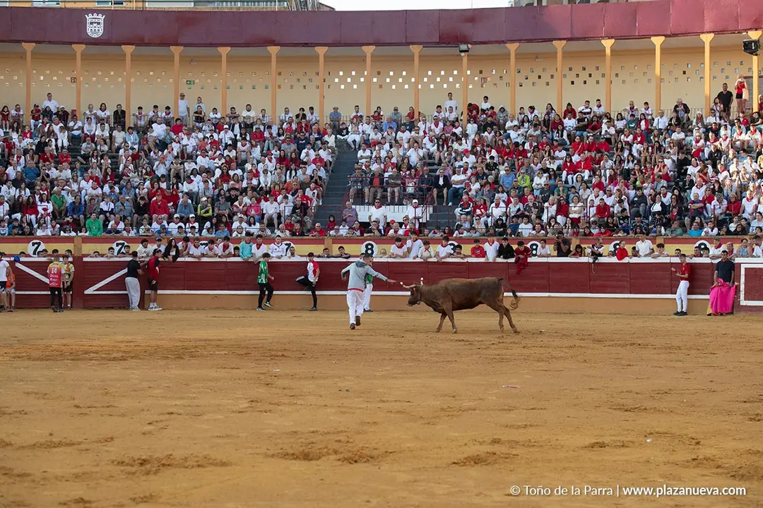 Fiestas de Tudela 2026 Suelta de vaquillas d&iacute;a 28 22