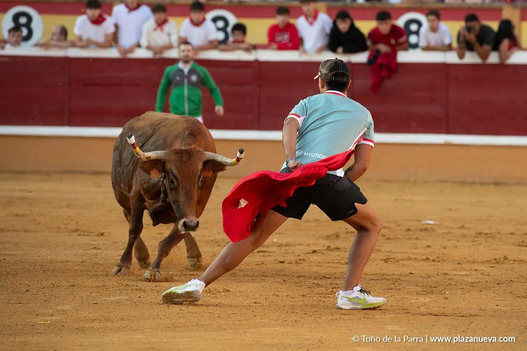 Fiestas de Tudela 2026 Suelta de vaquillas d&iacute;a 28 23