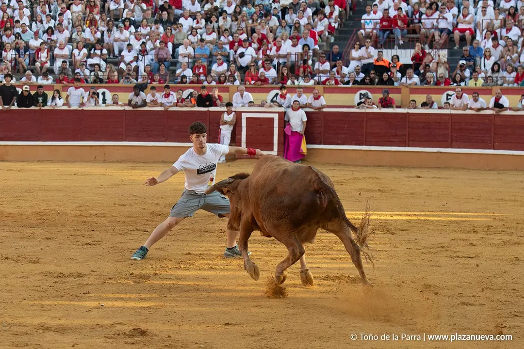 Fiestas de Tudela 2026 Suelta de vaquillas d&iacute;a 28 25