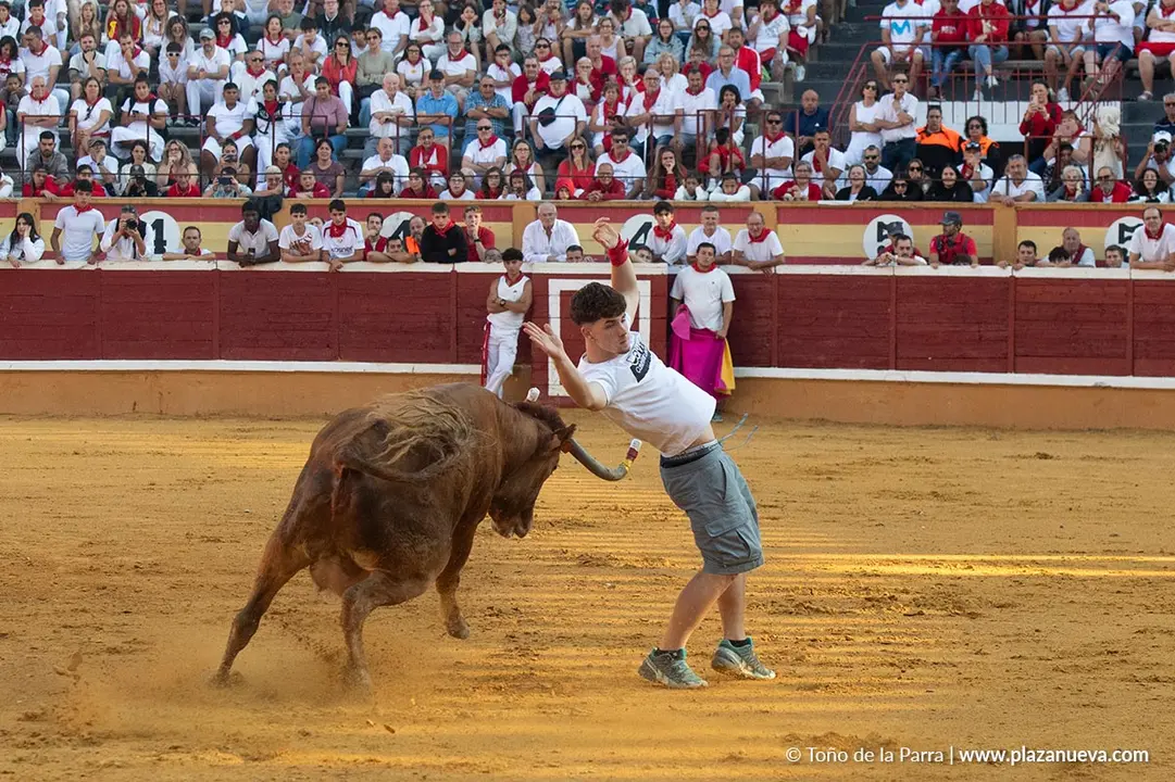 Fiestas de Tudela 2026 Suelta de vaquillas d&iacute;a 28 26